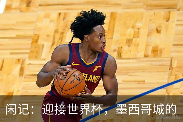 闲记：迎接世界杯，墨西哥城的“蝾螈化”实验